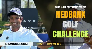 Nedbank Golf Challenge Prize Money Breakdown: What Winners Earn