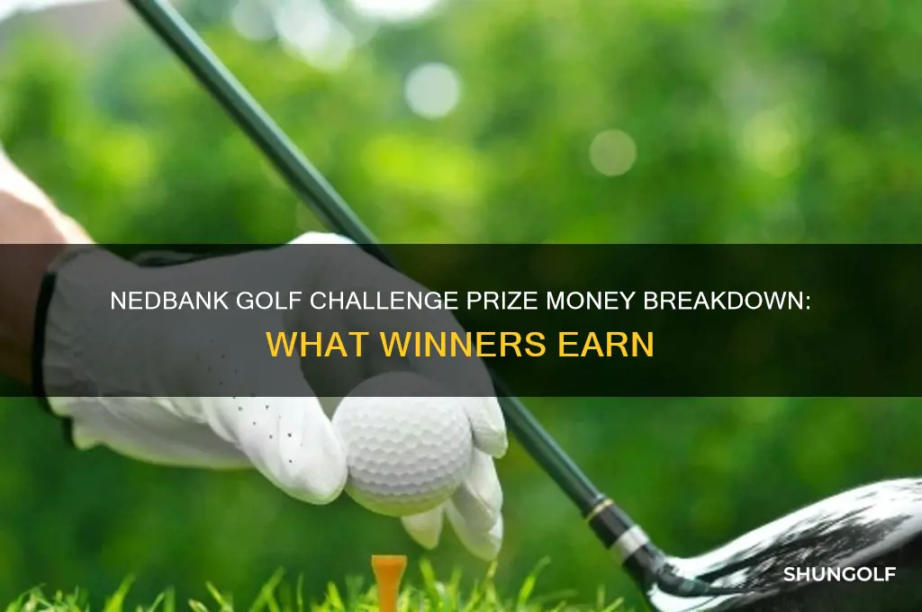 what is the prize money for the nedbank golf challenge