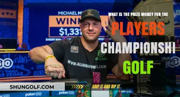 Players Championship Golf Prize Money Breakdown: What Winners Earn
