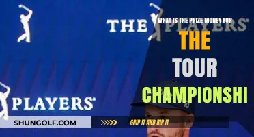 Tour Championship Prize Money: Unveiling the PGA's Top Payout