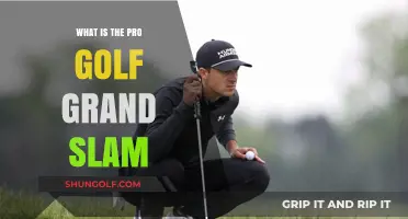Understanding the Pro Golf Grand Slam: History, Format, and Prestige