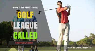 Exploring the Name of the Professional Golf League: A Comprehensive Guide