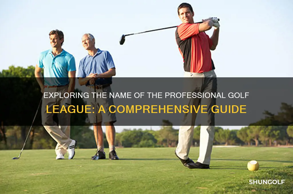 what is the professional golf league called