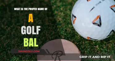 What’s the Correct Term? Unveiling the Proper Name of a Golf Ball