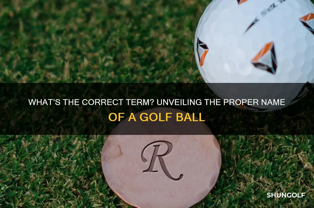what is the proper name of a golf bal