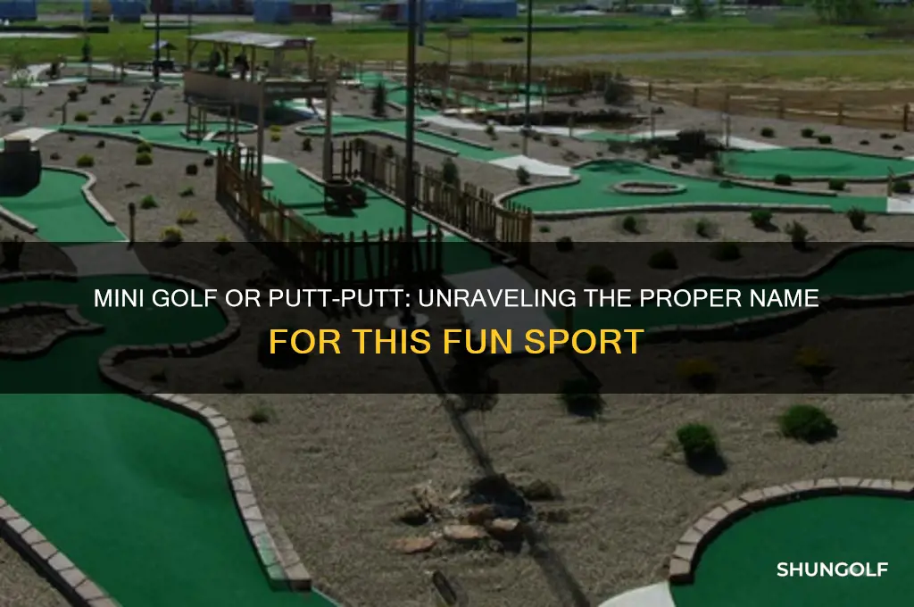 what is the proper name put out or mini golf