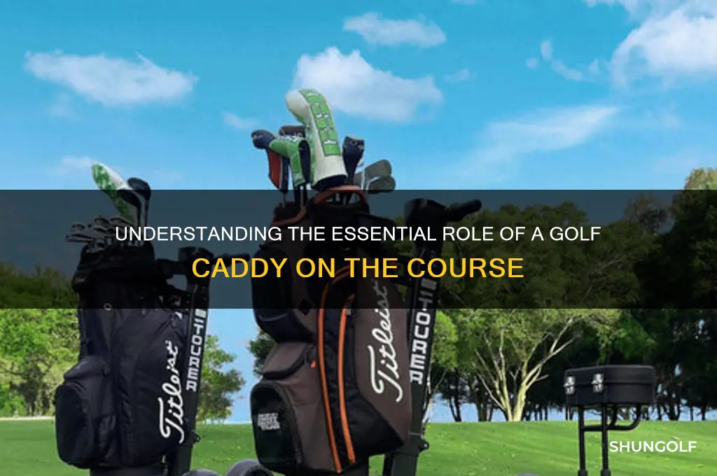 what is the purpose of a golf caddy