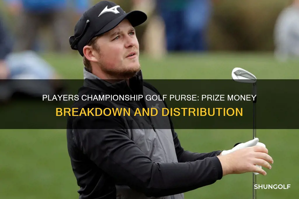 what is the purse for the players golf