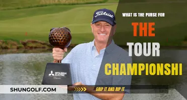 Understanding the Tour Championship Purse: Prize Money Breakdown
