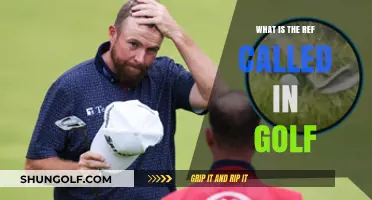 Understanding the Role of the Referee in Golf: What's the Ref Called?