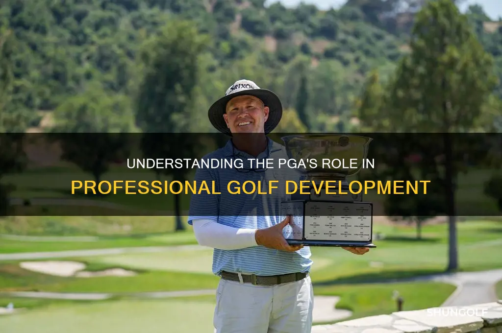 what is the role of the professional golf association pga