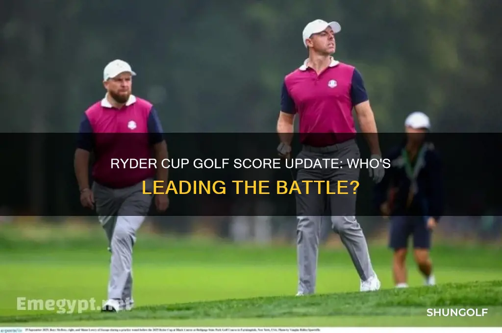 what is the score in the ryder cup golf