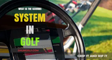 Understanding Golf's Scoring System: A Beginner's Guide to Par and Strokes