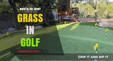 Understanding the Role of Short Grass in Golf Courses