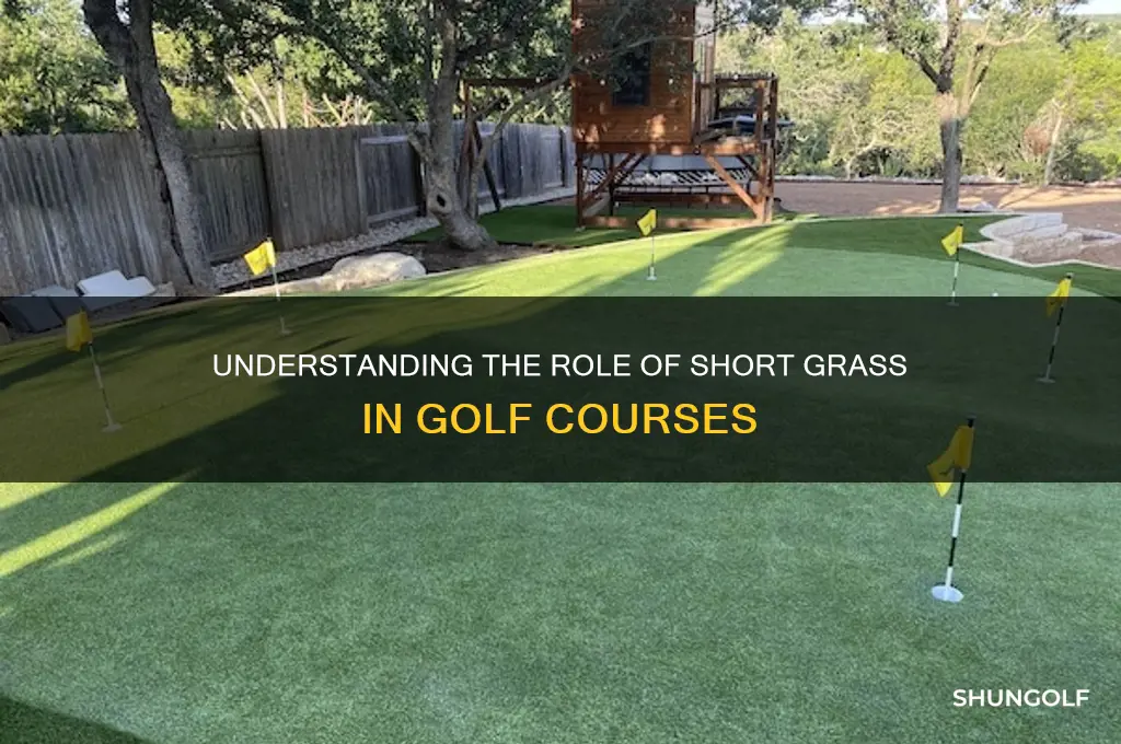 what is the short grass in golf