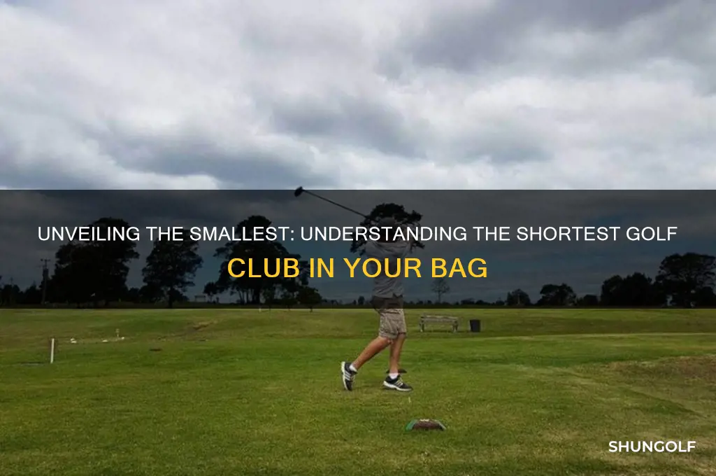 what is the shortest golf club