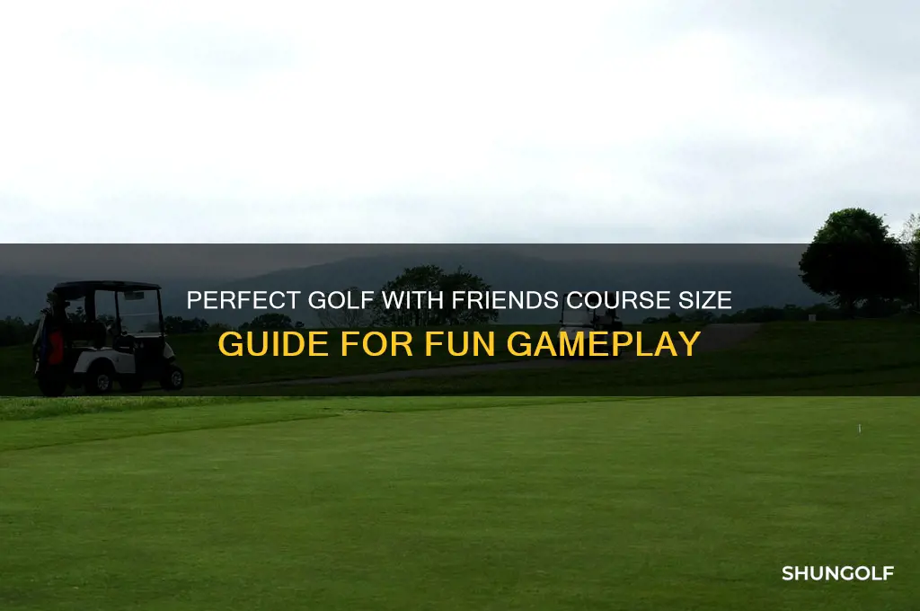 what is the size for golf with friends