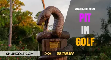 Understanding the Snake Pit: Golf's Tricky Bunker Explained