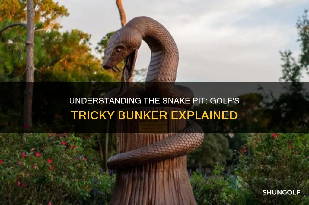 what is the snake pit in golf