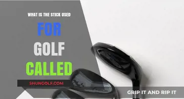 Unveiling the Essential Golf Club: A Beginner's Guide