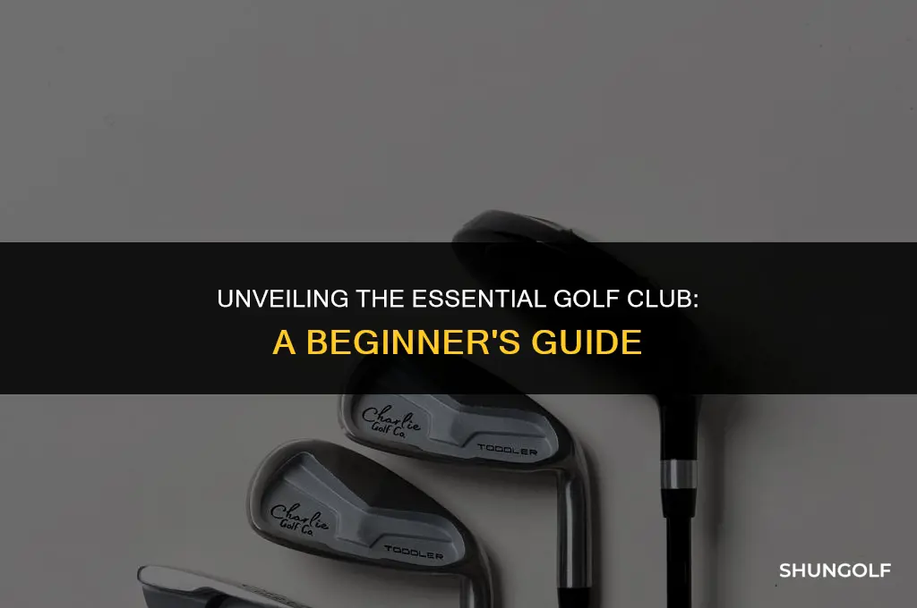 what is the stick used for golf called