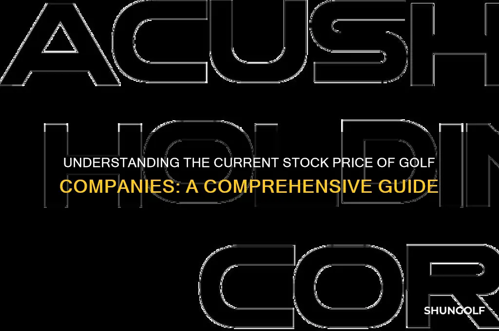 what is the stock price of golf