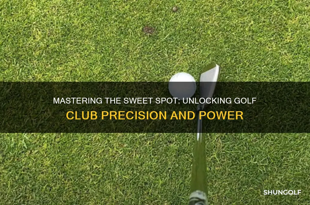 what is the sweet spot on a golf club