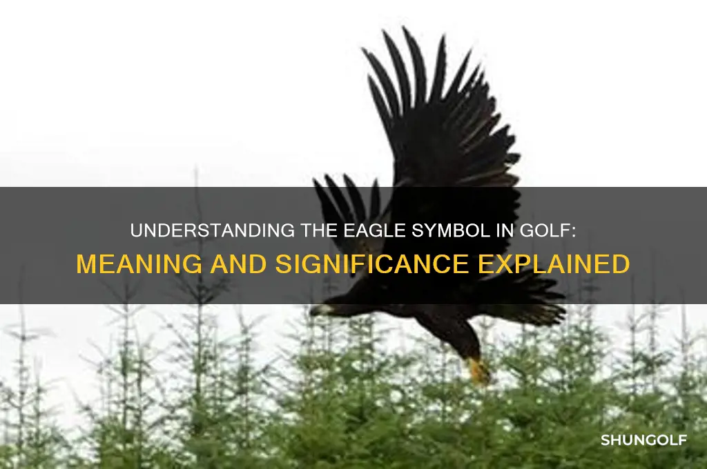what is the symbol for an eagle in golf