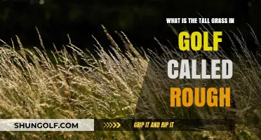 Understanding Golf's Rough: The Tall Grass Beyond the Fairway Explained