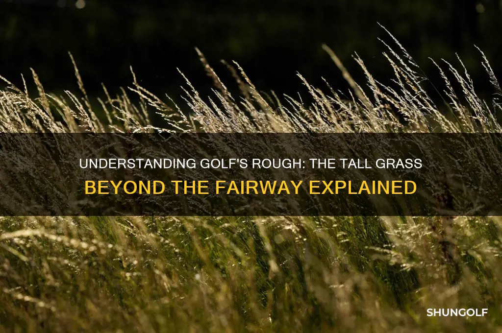 what is the tall grass in golf called rough