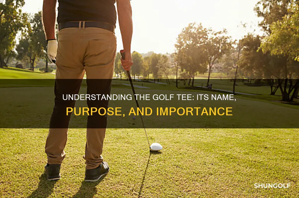 what is the tee thing called in golf