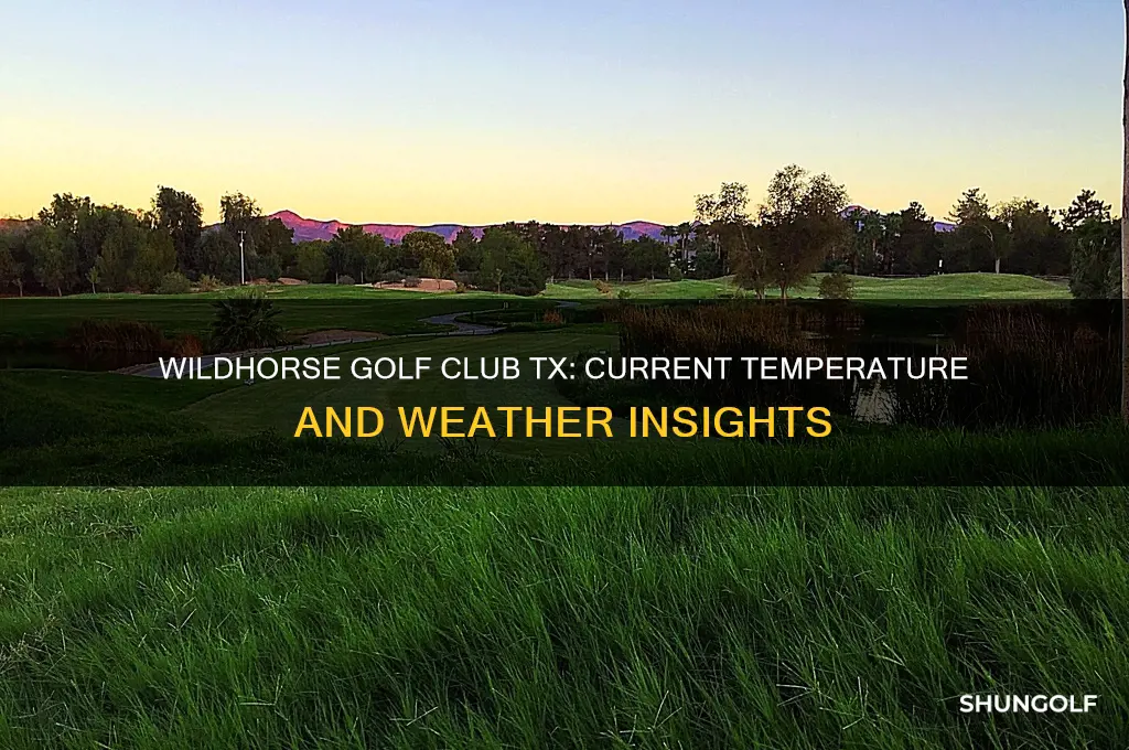 what is the temperature at wildhorse golf club tx