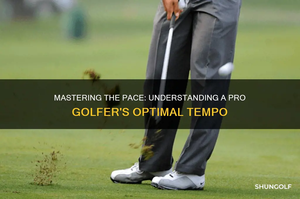 what is the tempo of a pro golfer