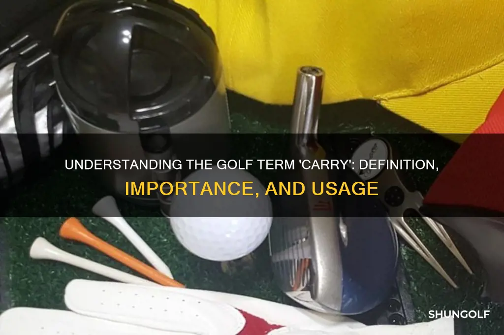 what is the term carry in golf