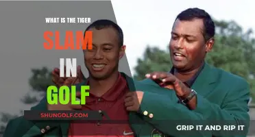 Tiger Slam: Understanding Golf's Historic Consecutive Major Wins