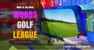 Exploring the Tiger Woods Golf League: A New Era in Golf