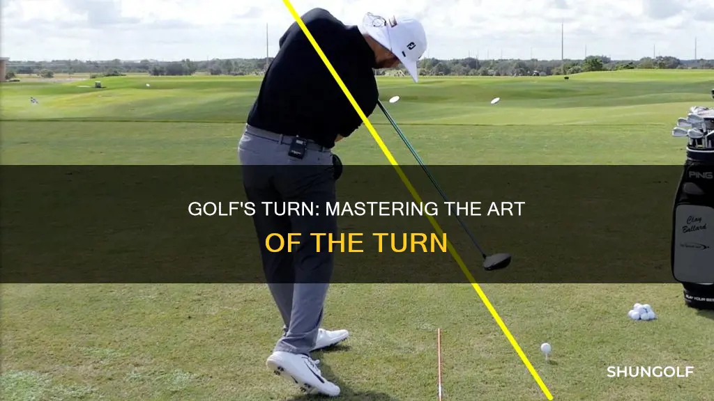 what is the turn in golf