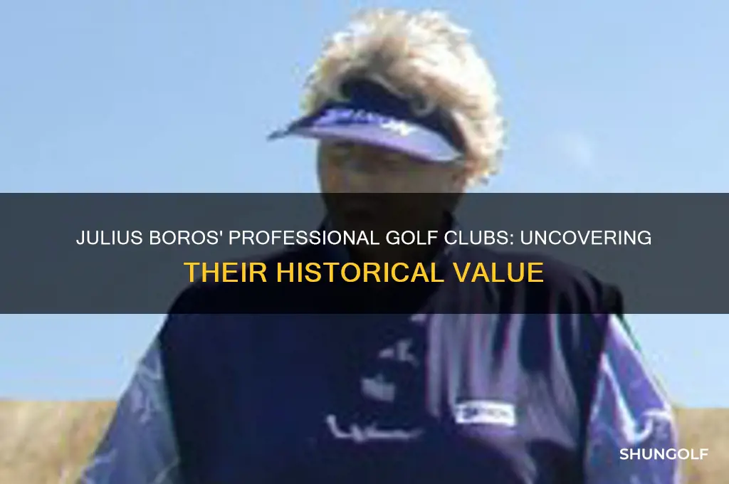what is the value of julius boros professional golf clubs