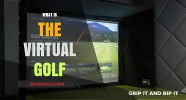 Virtual Golf: The Future of the Sport?