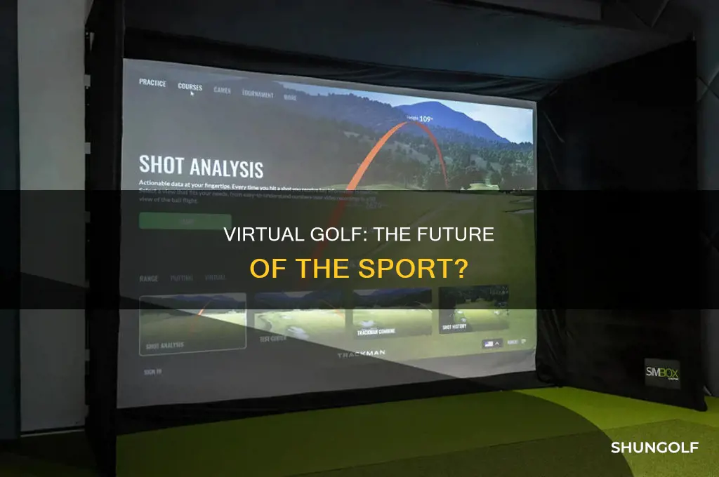 what is the virtual golf