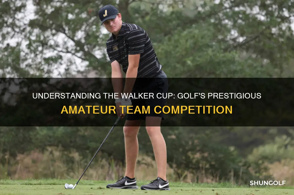 what is the walker cup in golf