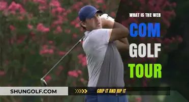 Exploring the Web.com Golf Tour: A Gateway to PGA Success
