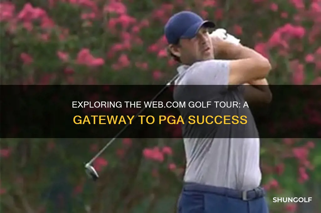 what is the web com golf tour