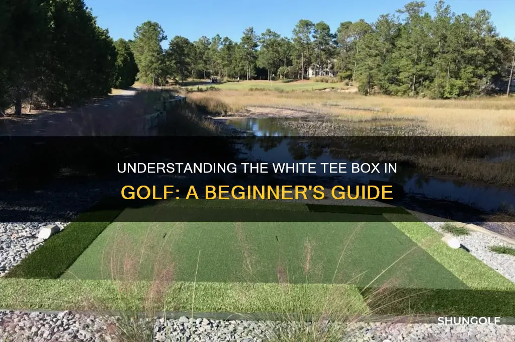 what is the white tee box in golf