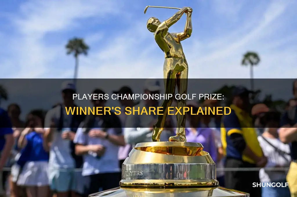 what is the winners share of the players championship golf
