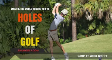 Unbelievable Golf Feat: The World Record for 18 Holes