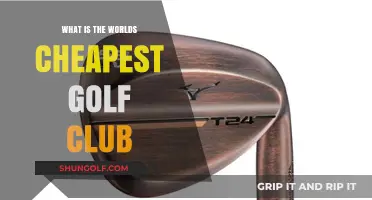 Discover the World's Most Affordable Golf Club Options Today
