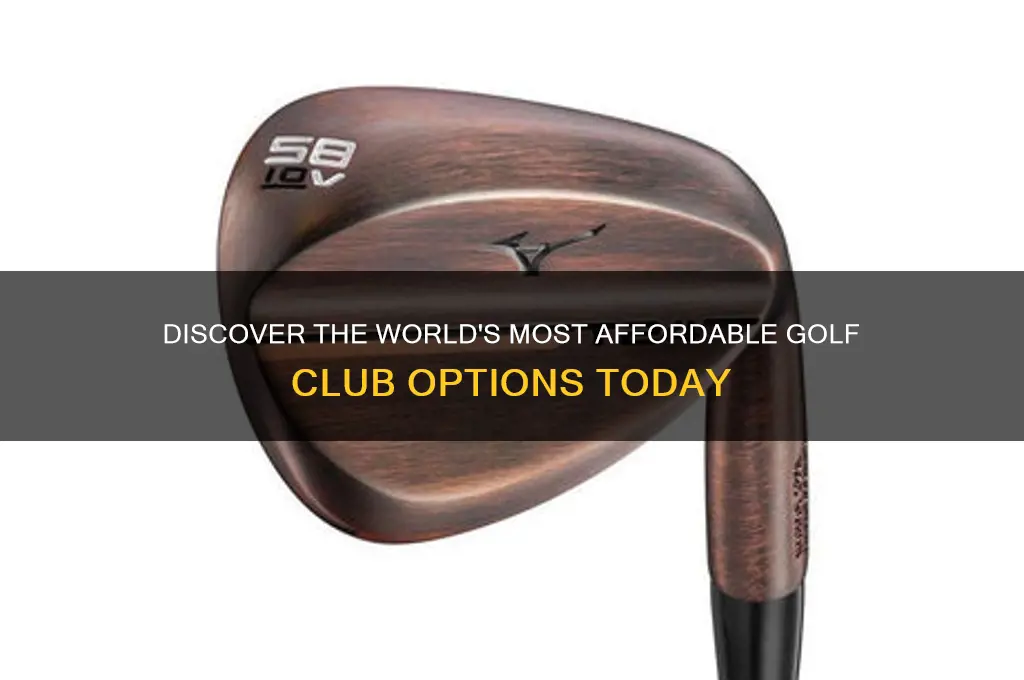what is the worlds cheapest golf club
