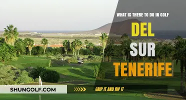 Exploring Golf del Sur: Top Activities and Attractions in Tenerife