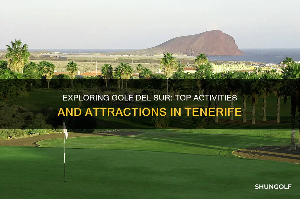 what is there to do in golf del sur tenerife